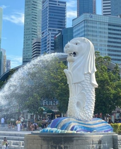 Singapore Immersion
